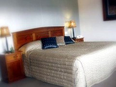 Saltbush Motor Inn - Accommodation Batemans Bay 4