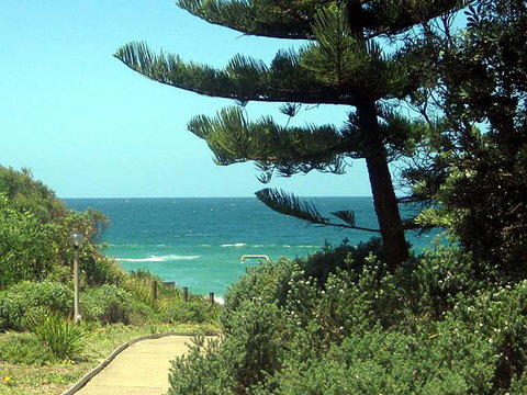 Seashells Beachfront Resort - Accommodation Batemans Bay 0