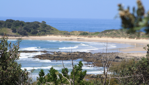 The Bowlo Holiday Cabins - Accommodation Batemans Bay 0