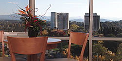 Waldorf Apartment Hotel Canberra - Accommodation Batemans Bay 5