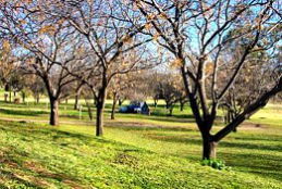 Wellington Caves Caravan Park - Accommodation Batemans Bay 0