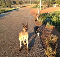 Bindoons Windmill Farm - Accommodation Batemans Bay