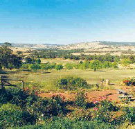 Pecan Hill Bed and Breakfast