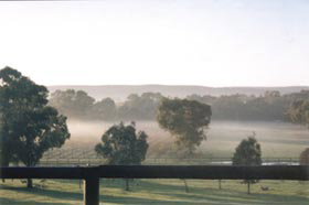 Settlers Rest Farmstay Swan Valley - Accommodation Batemans Bay 3