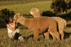 Settlers Rest Farmstay Swan Valley - Accommodation Batemans Bay 2