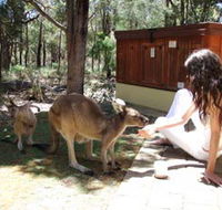 Yelverton Brook Eco Spa Retreat and Conservation Sanctuary - Accommodation Batemans Bay