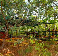 Arnhemland Barramundi Nature Lodge - Accommodation Batemans Bay