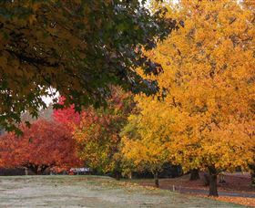 Laurel Hill Forest Lodge - Accommodation Batemans Bay 3