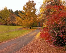 Laurel Hill Forest Lodge - Accommodation Batemans Bay 4