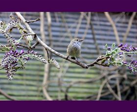 MossGrove Bed And Breakfast - Accommodation Batemans Bay 2