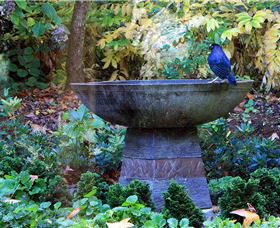 MossGrove Bed And Breakfast - Accommodation Batemans Bay 4