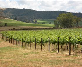 Acacia Park Farm House - Accommodation Batemans Bay 7