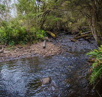 Horse Swamp campground - Accommodation Batemans Bay