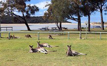 Lake Conjola Entrance Holiday Park - Accommodation Batemans Bay 2