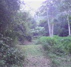 Macas Camping Ground - Accommodation Batemans Bay