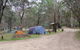 Native Dog Campground - thumb 0