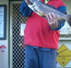Rainbow Pines Tourist Caravan Park - Accommodation Batemans Bay