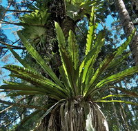 Rummery Park campground - Accommodation Batemans Bay