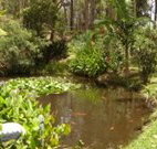 Tallowood Ridge B and B - Accommodation Batemans Bay
