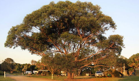 The Ruins Campground And Picnic Area - Accommodation Batemans Bay 1