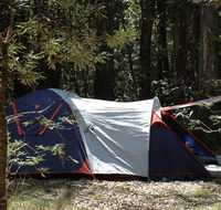 Thungutti campground - Accommodation Batemans Bay
