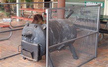 Lightning Ridge Outback Resort And Caravan Park - Lightning Ridge - Accommodation Batemans Bay 7