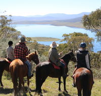 Reynella Homestead and Horseback Rides - Accommodation Batemans Bay