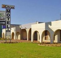 Citrus Motel - Accommodation Batemans Bay
