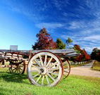 The Oaks Ranch and Country Club - Mossy Point - Accommodation Batemans Bay