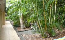 Tiarri Terrigal - Terrigal - Accommodation Batemans Bay 2