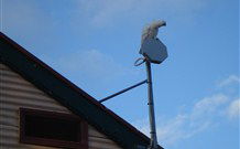Lake View Farm House - Accommodation Batemans Bay 7