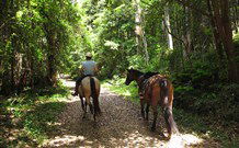 Malibells Country Cottages - Accommodation Batemans Bay 1