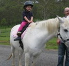 Mansfield Cottage Barrington Tops Accommodation - Accommodation Batemans Bay
