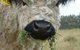 Mayfield Vineyard Cottages - thumb 2
