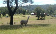 Mayfield Vineyard Cottages - Accommodation Batemans Bay 3