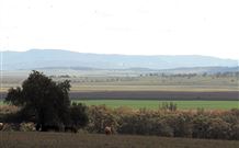 Middlebrook Station Farmstay B And B - Accommodation Batemans Bay 2