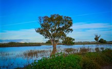 Morvern Valley Farm Stay Cottages - Accommodation Batemans Bay 4