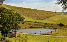 Sanctuary Hill Retreat - Accommodation Batemans Bay 0