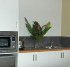 Toolond Plantation - Accommodation Batemans Bay