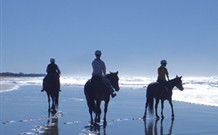 Whispering Brook - Accommodation Batemans Bay 0