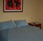 Busy Buzz - Accommodation Batemans Bay