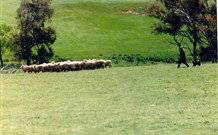 Gooromon Park Cottages - Accommodation Batemans Bay 0