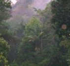 Havans Ecotourist Retreat - - Accommodation Batemans Bay