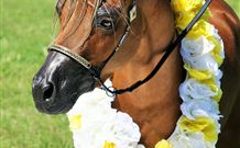 Hunter Valley Macadamia Lodge - Accommodation Batemans Bay 3