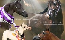 Hunter Valley Macadamia Lodge - Accommodation Batemans Bay 2