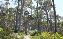 Lilli Pilli Beach Bed And Breakfast - Accommodation Batemans Bay 5