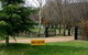 Ophir Gold Bed And Breakfast - thumb 0