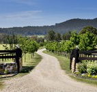 Pemberley Grange Hunter Valley Getaway - Accommodation Batemans Bay