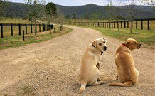 Pemberley Grange Hunter Valley Getaway - Accommodation Batemans Bay 1