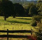 Pines on the Plateau - Accommodation Batemans Bay